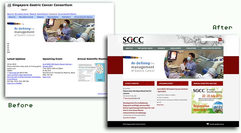 SGCC homepage after theming
