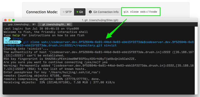 Clone site to local machine